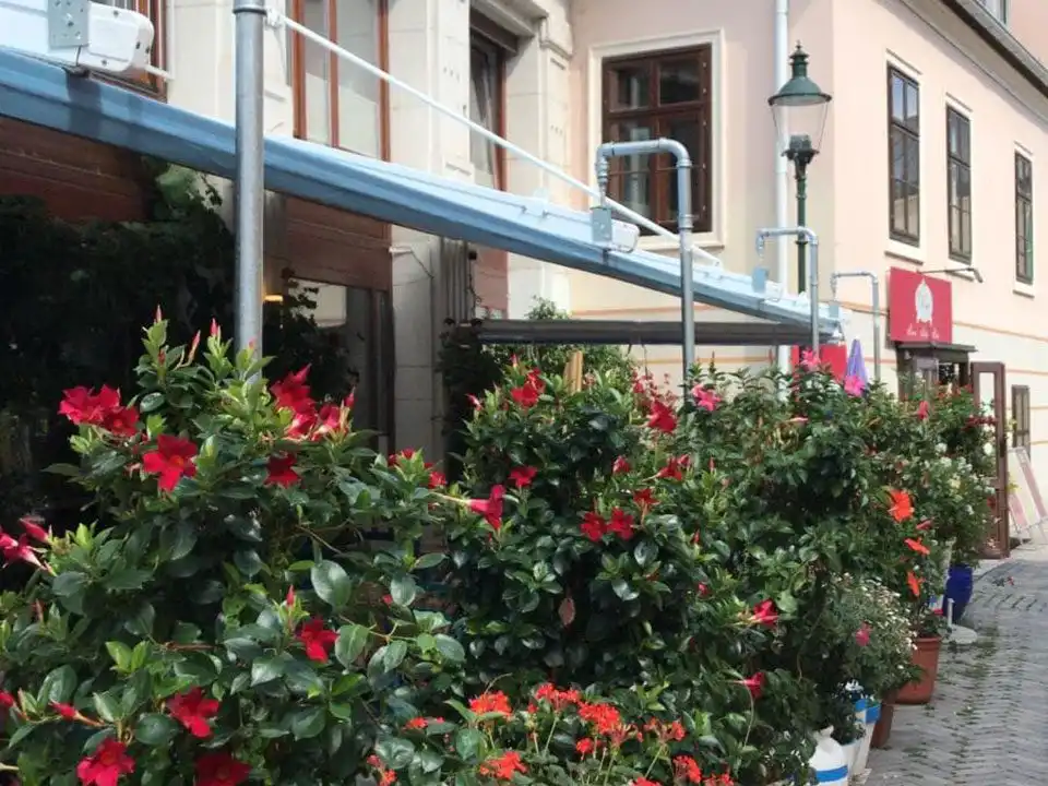 Κρεμαστή Πέργκολα baten Vienna