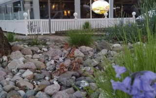 Πέργκολα Αλουμινίου σε μαγαζί